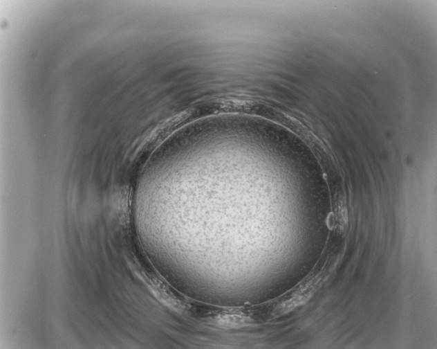 X0000087550468200705041332