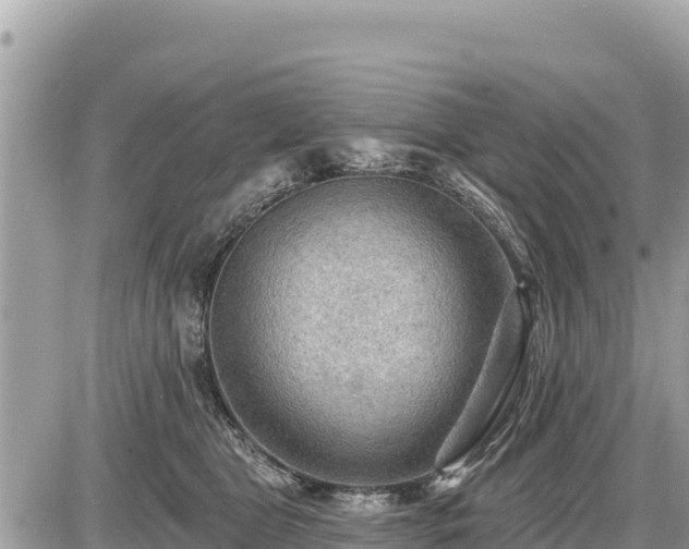 X0000087550469200705041332