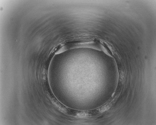 X0000087550470200705041332