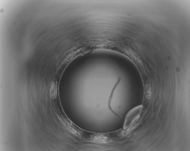 X0000087550471200705041332