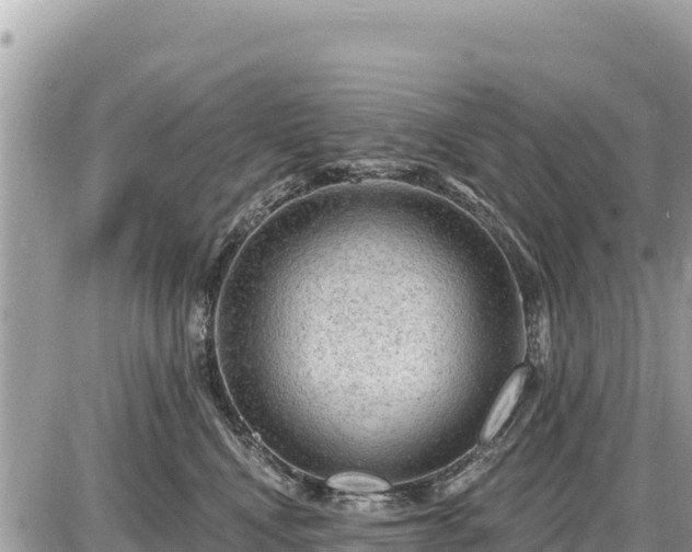 X0000087550472200705041332