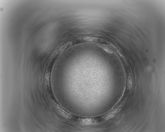 X0000087550473200705041332