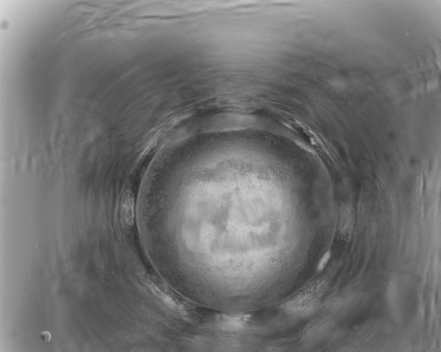 X0000087550474200705041332