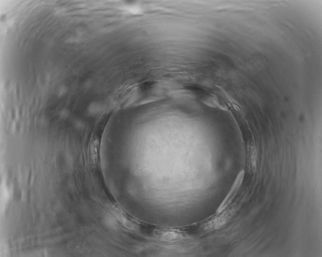 X0000087550475200705041332