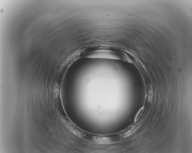 X0000087550476200705041332