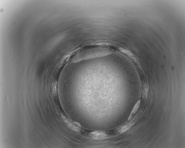 X0000087550477200705041332