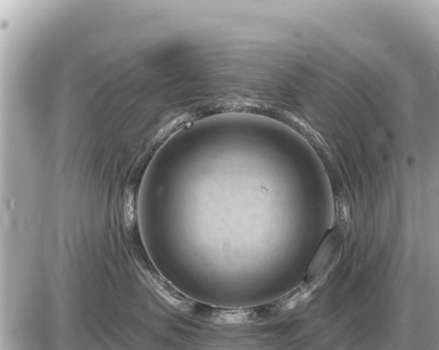 X0000087550479200705041332