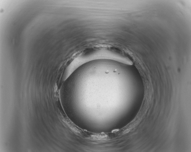 X0000087550480200705041332