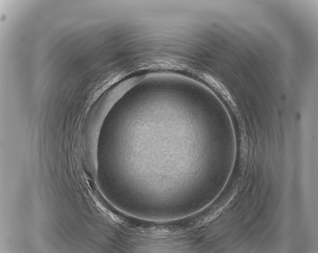 X0000087550481200705041332