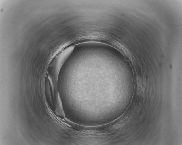 X0000087550482200705041332