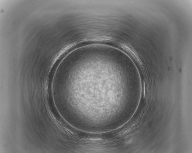 X0000087550483200705041332