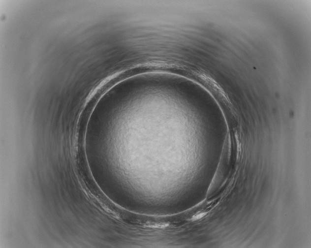 X0000087550484200705041332