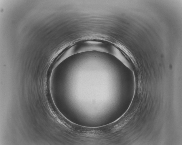 X0000087550485200705041332