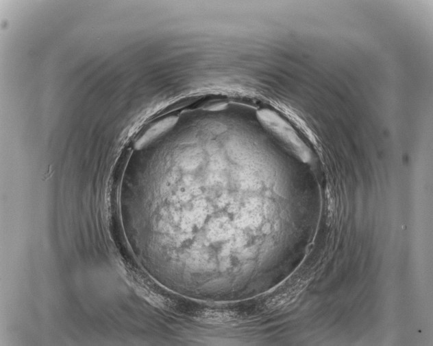 X0000087550487200705041331