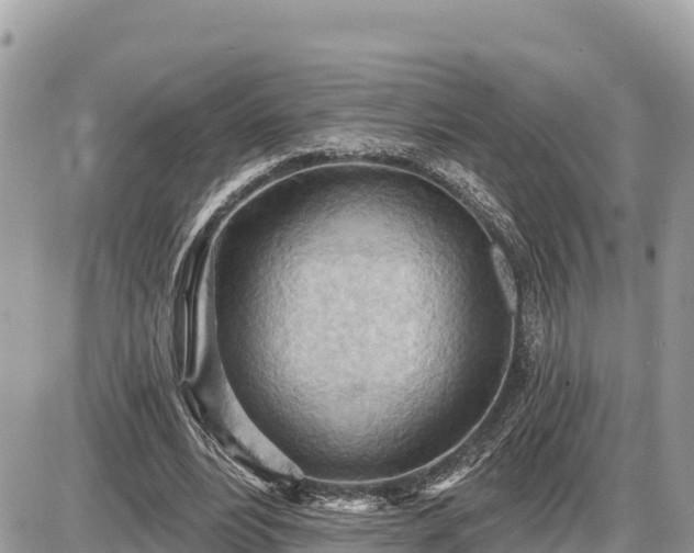 X0000087550488200705041331