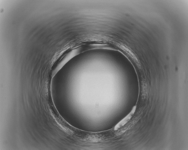 X0000087550489200705041331