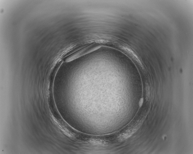 X0000087550490200705041331