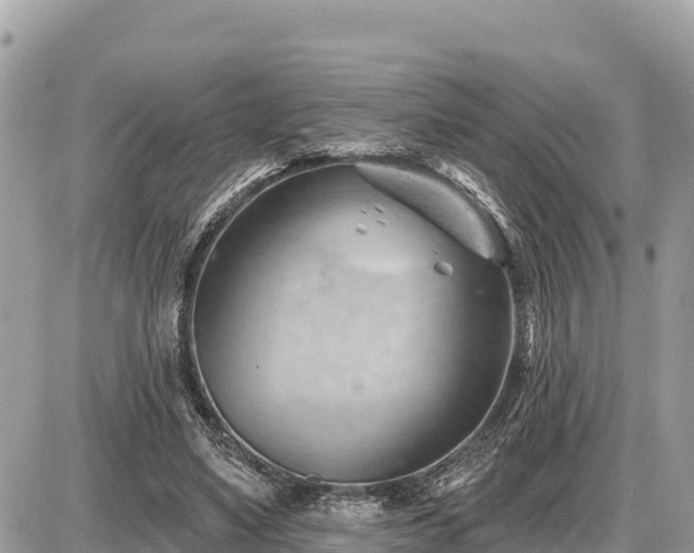 X0000087550491200705041331