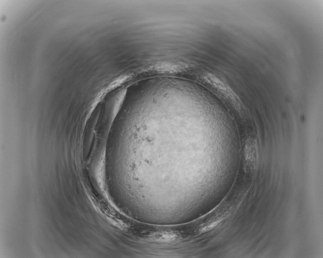 X0000087550492200705041331