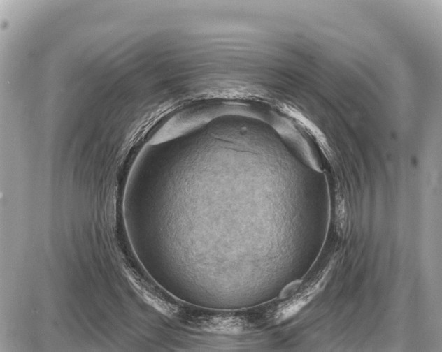 X0000087550493200705041331