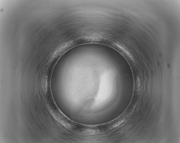 X0000087550494200705041331