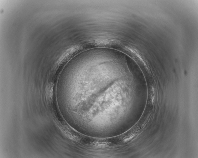 X0000087550495200705041331