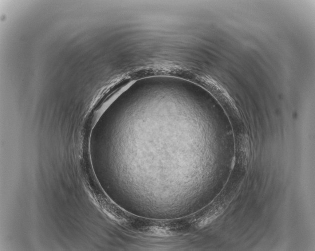 X0000087550496200705041331