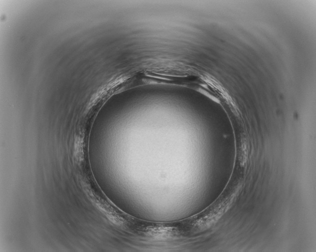 X0000087550497200705041331