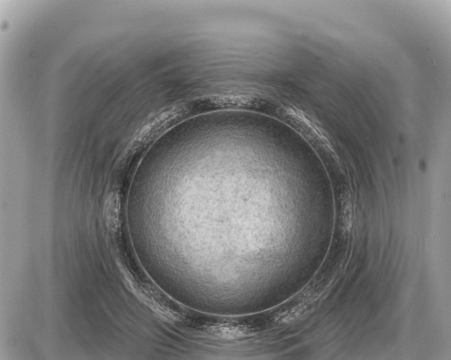 X0000087550498200705041331