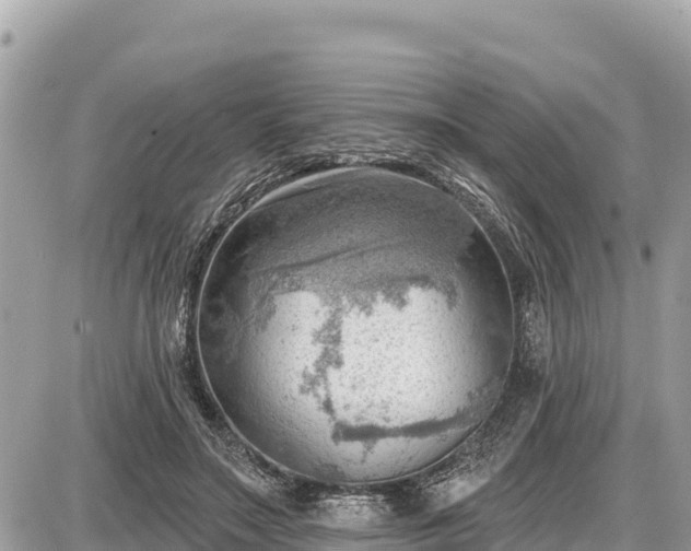 X0000087550499200705041331