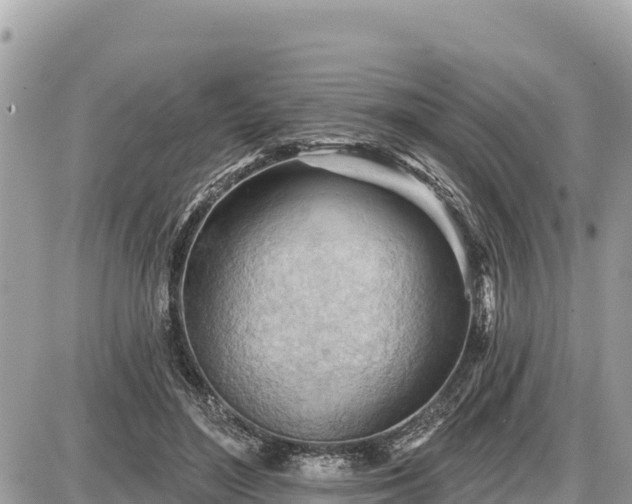 X0000087550500200705041331