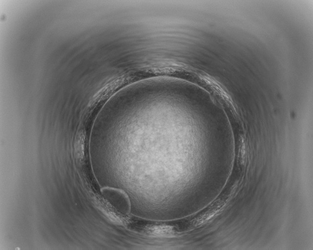 X0000087550501200705041331