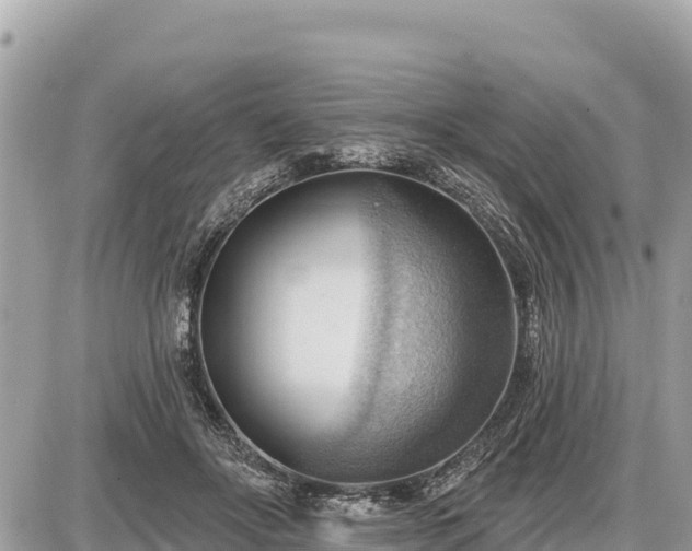 X0000087550502200705041331