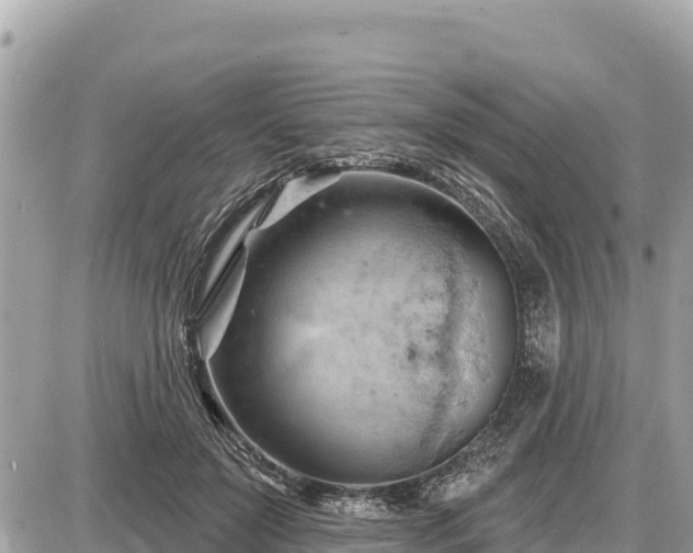 X0000087550503200705041331