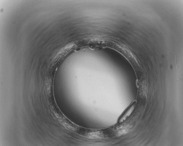 X0000087550505200705041331