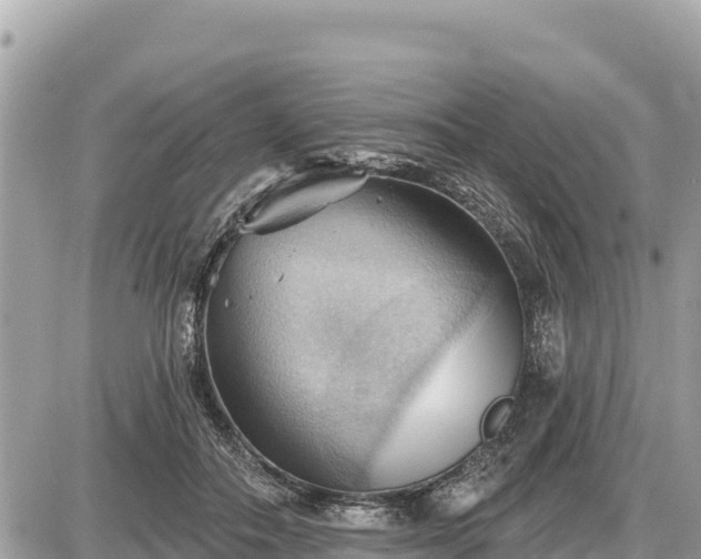 X0000087550506200705041331