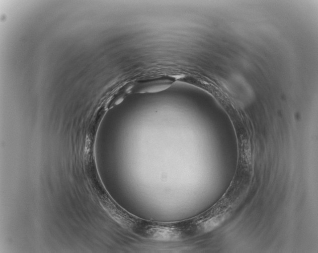 X0000087550507200705041331