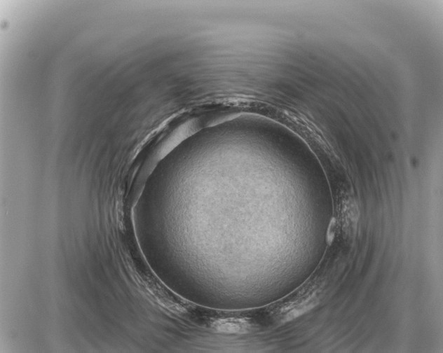 X0000087550508200705041331