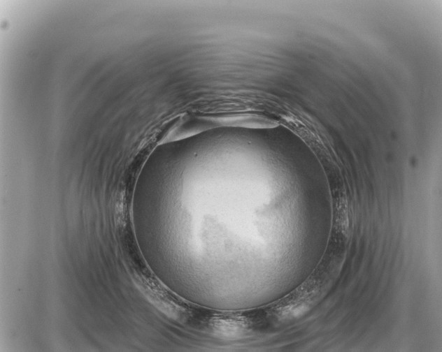 X0000087550510200705041331