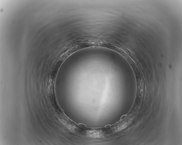 X0000087550511200705041331