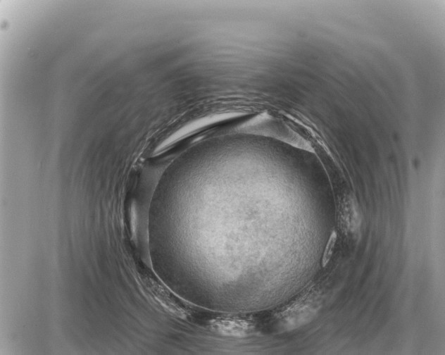 X0000087550512200705041331