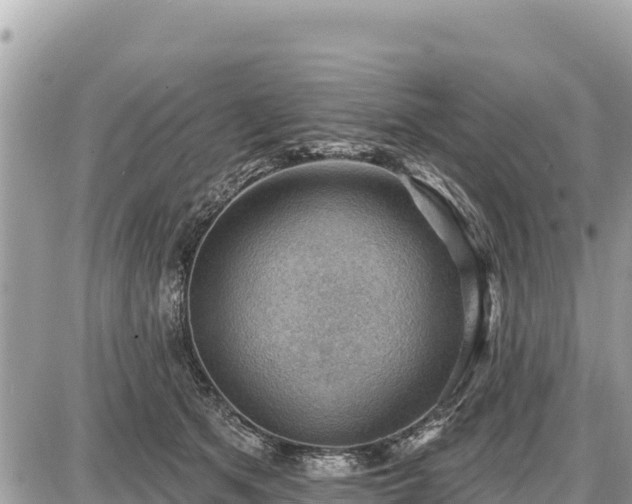 X0000087550513200705041331