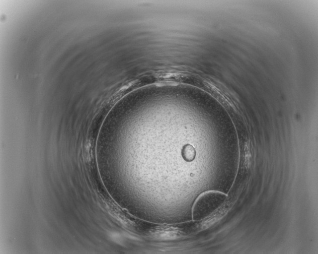 X0000087550514200705041331