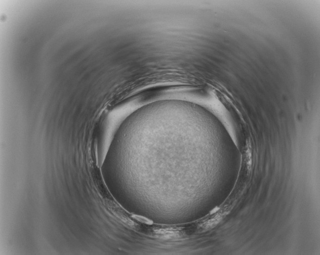 X0000087550516200705041331