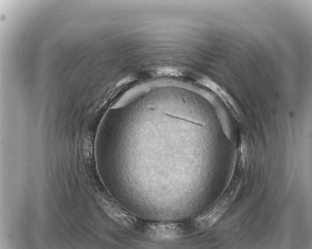 X0000087550517200705041331