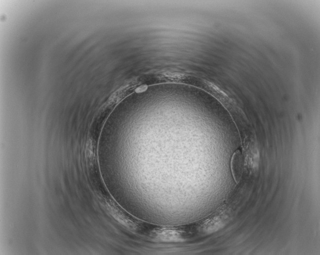 X0000087550518200705041331