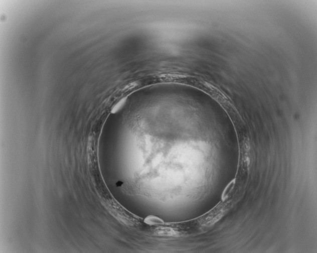 X0000087550519200705041331