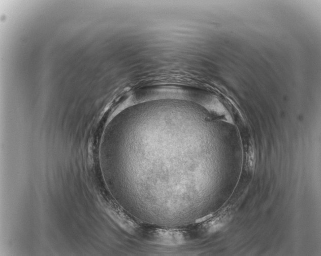 X0000087550520200705041331