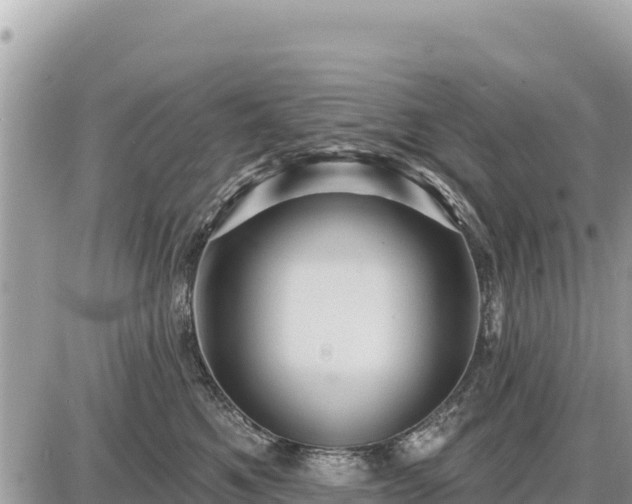 X0000087550521200705041331