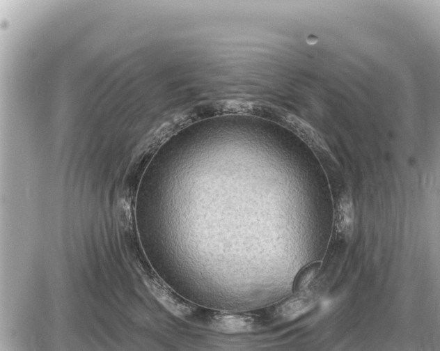 X0000087550522200705041331